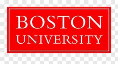 Logo Boston IT