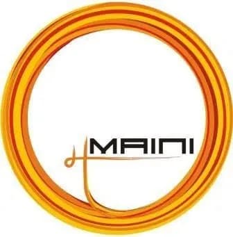 Logo Maini Precision Products