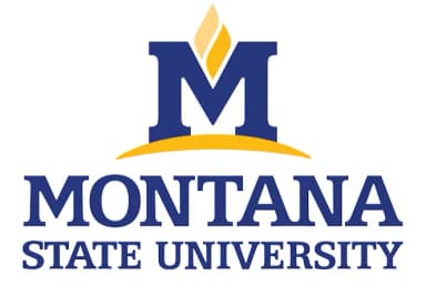 Logo Montana State University