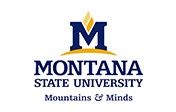 Montana State University Montana State University