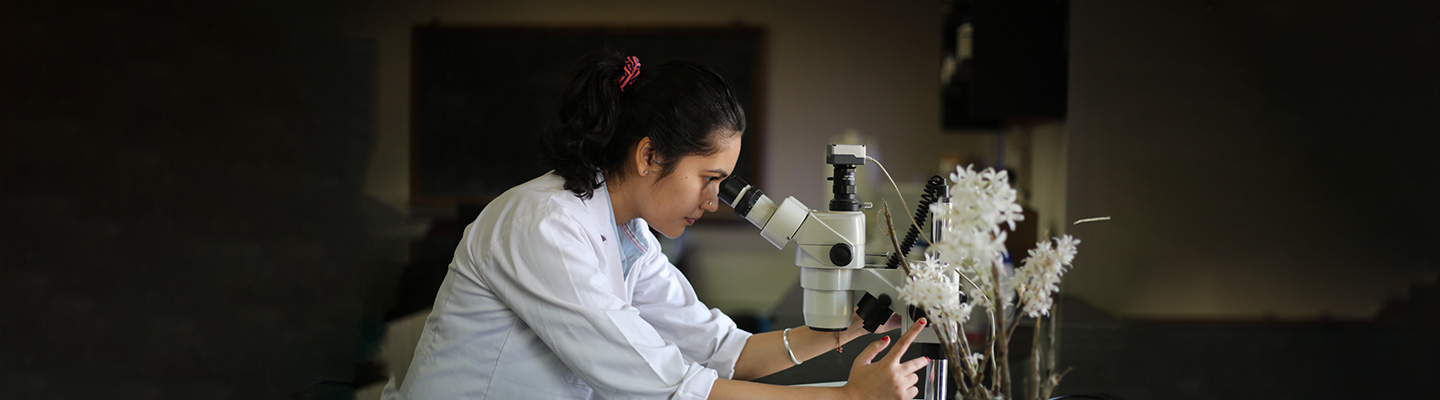 MSc Medical Courses Banner MSc Medical Courses Banner