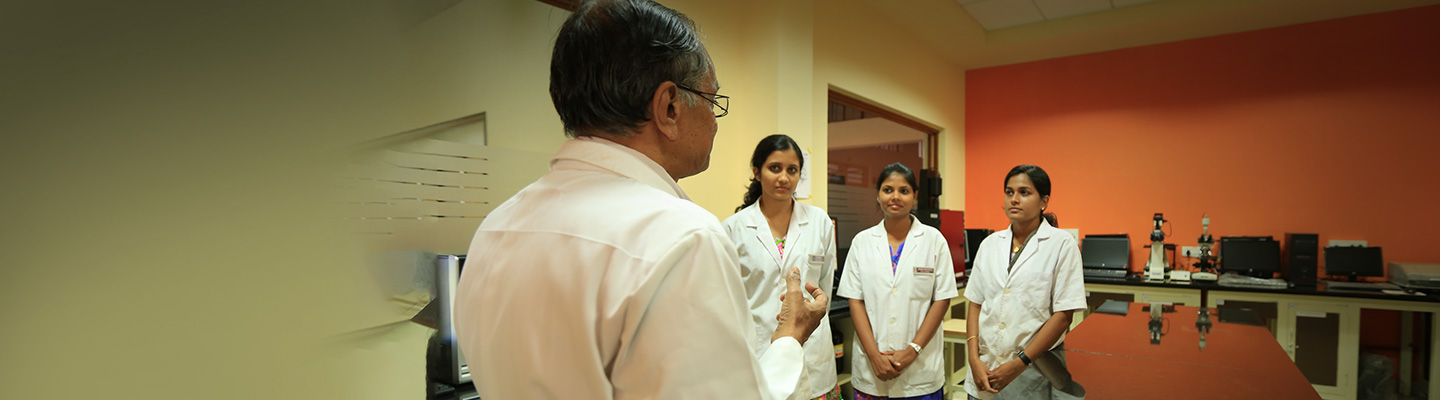 Doctor of Medicine Banner Doctor of Medicine Banner