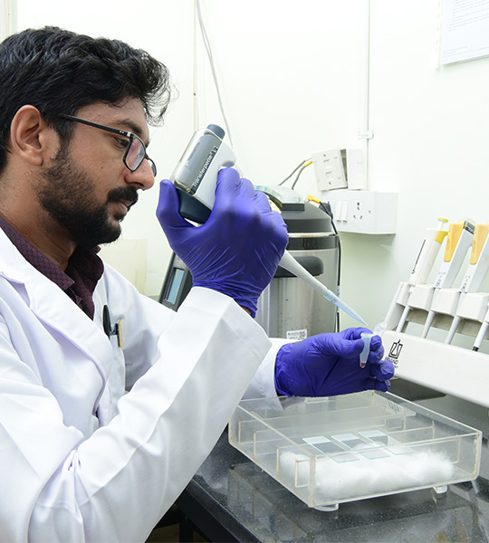 Research & Innovation Research & Innovation